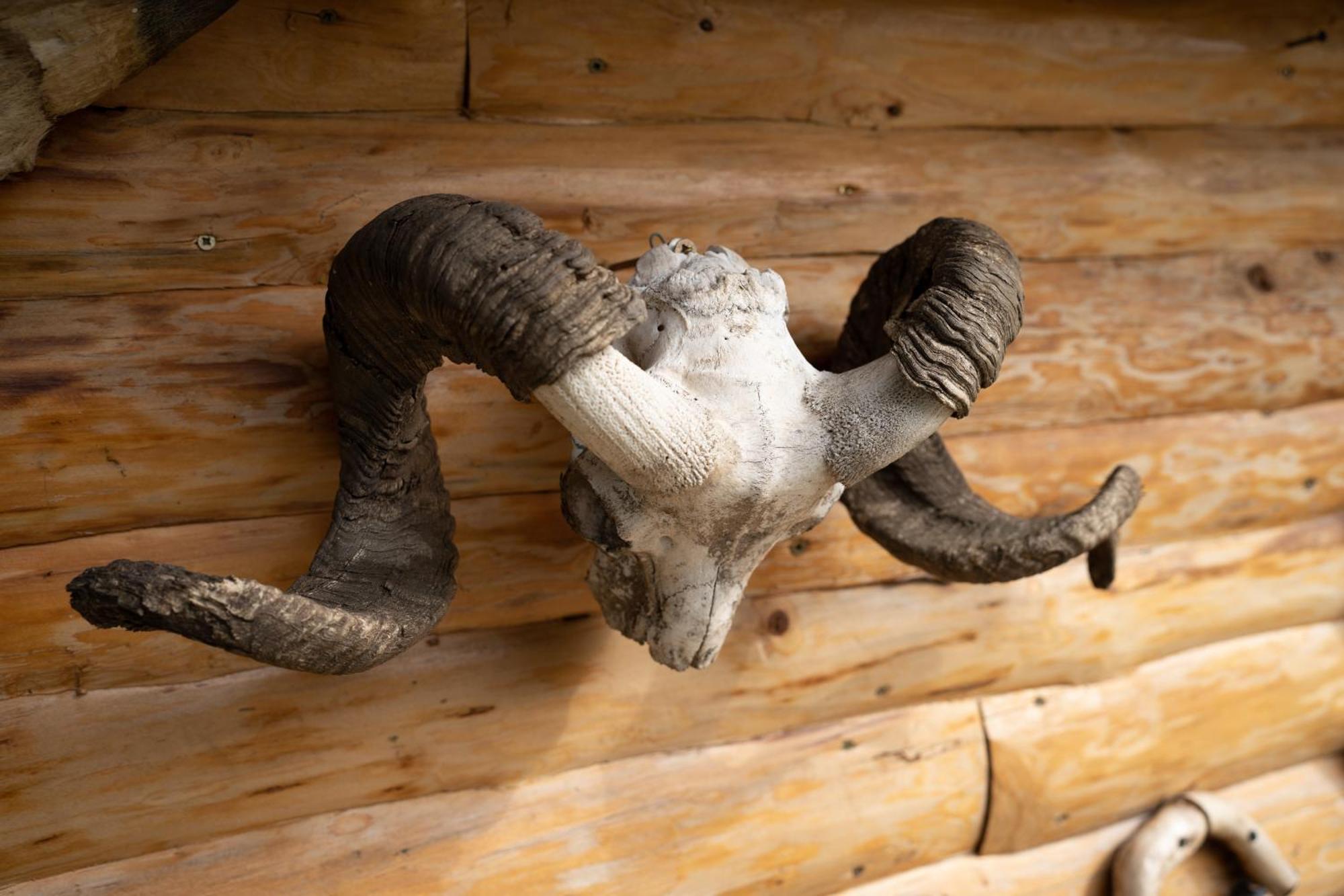 Hotel Barlogul Vikingilor Sotrile Zewnętrze zdjęcie