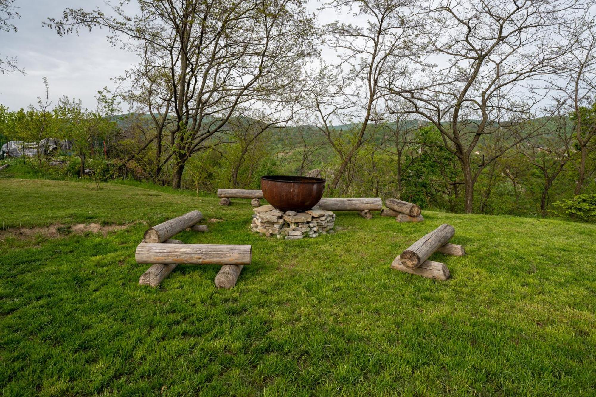 Hotel Barlogul Vikingilor Sotrile Zewnętrze zdjęcie