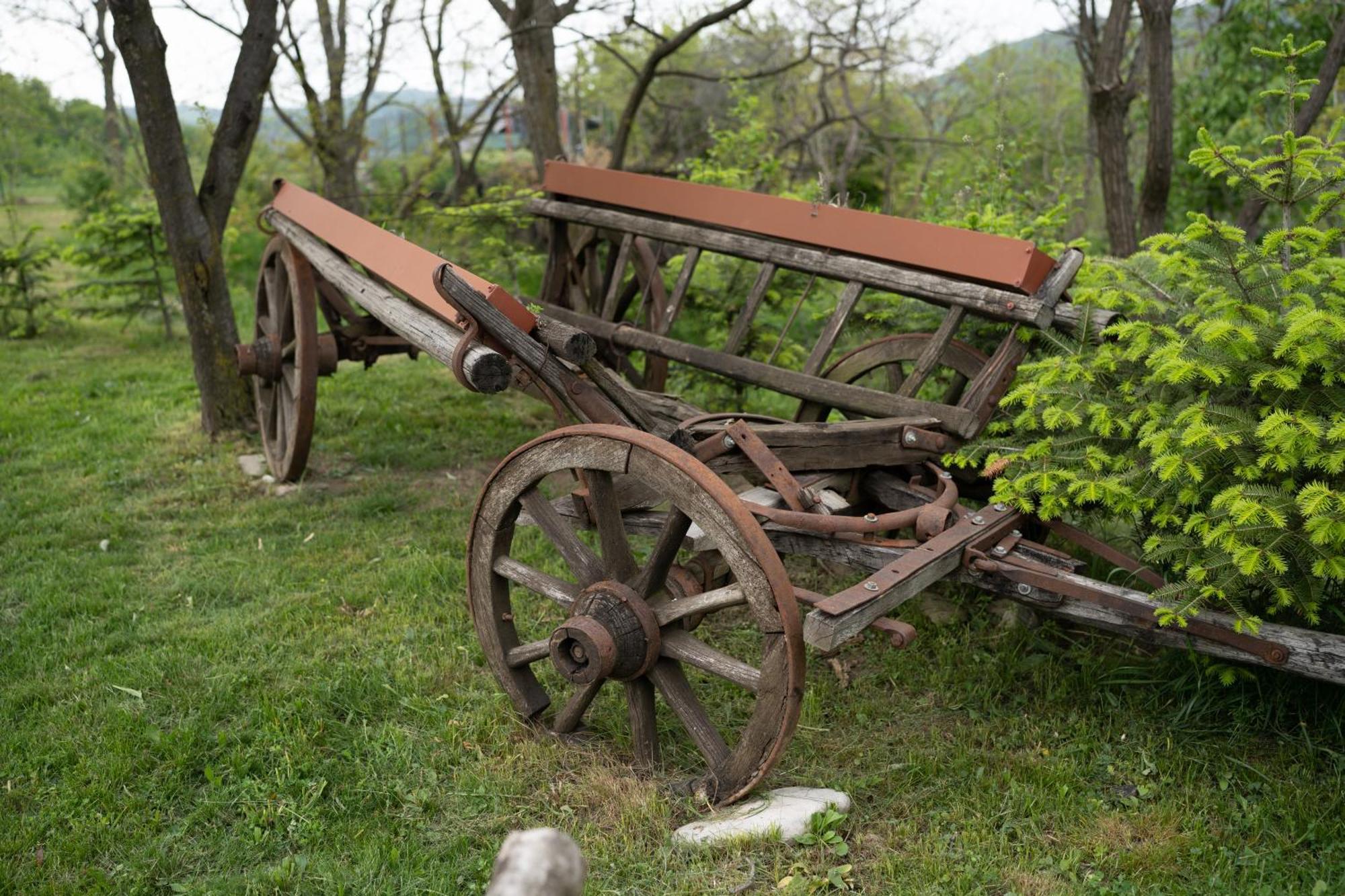 Hotel Barlogul Vikingilor Sotrile Zewnętrze zdjęcie