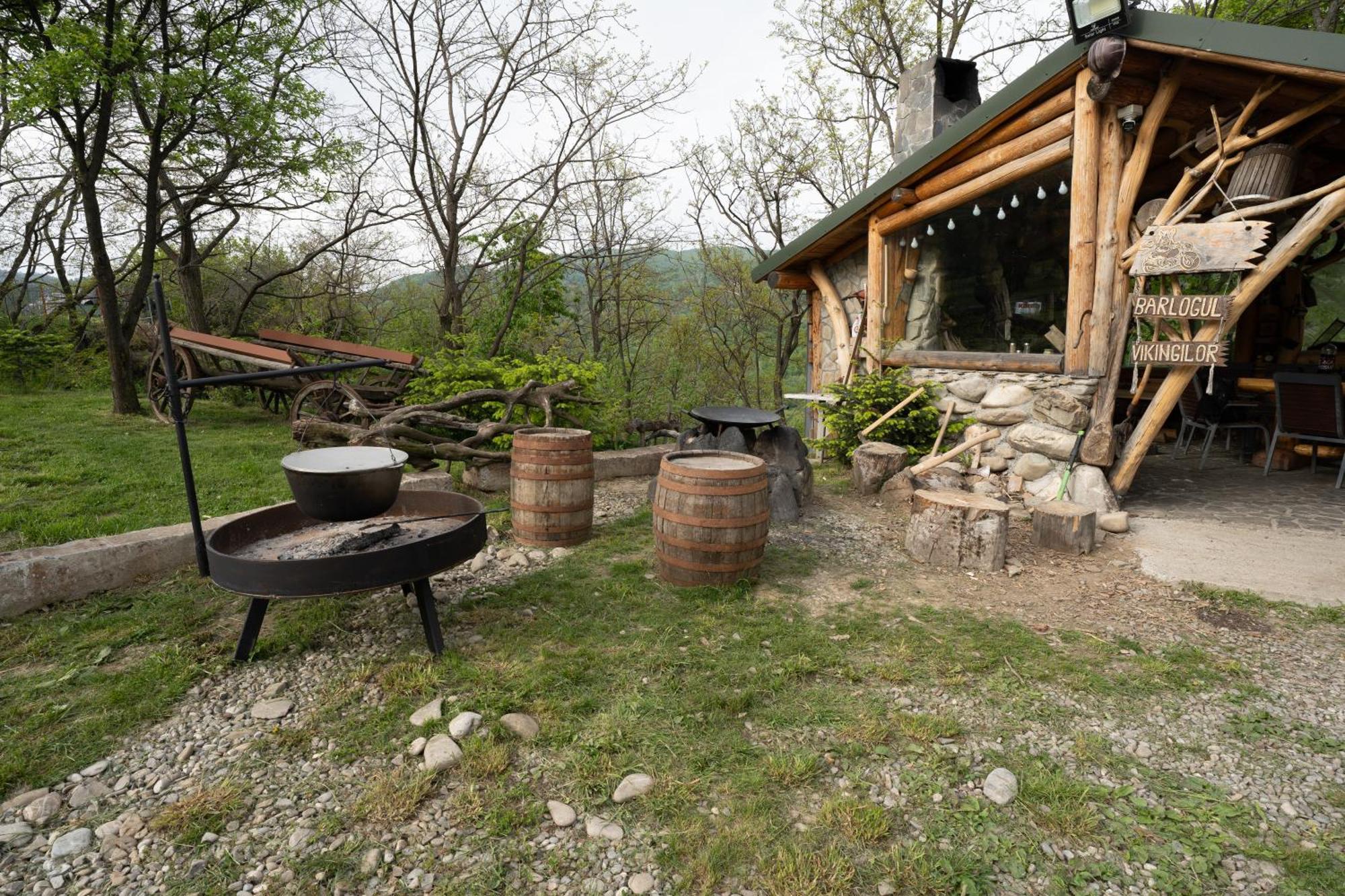 Hotel Barlogul Vikingilor Sotrile Zewnętrze zdjęcie